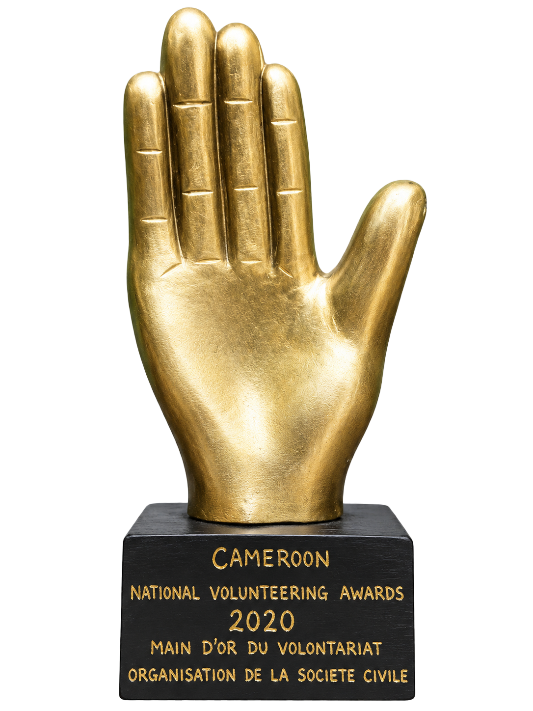 Cameroon - National Volunteering Awards 2020 - Main d’or du Volontariat, organisation de la société civile